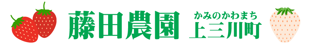 栃木県上三川町でイチゴ、米を生産し販売する藤田農園