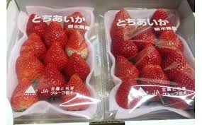 とちあいか　２パックセット