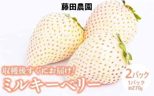 ミルキーベリーbr ２パック