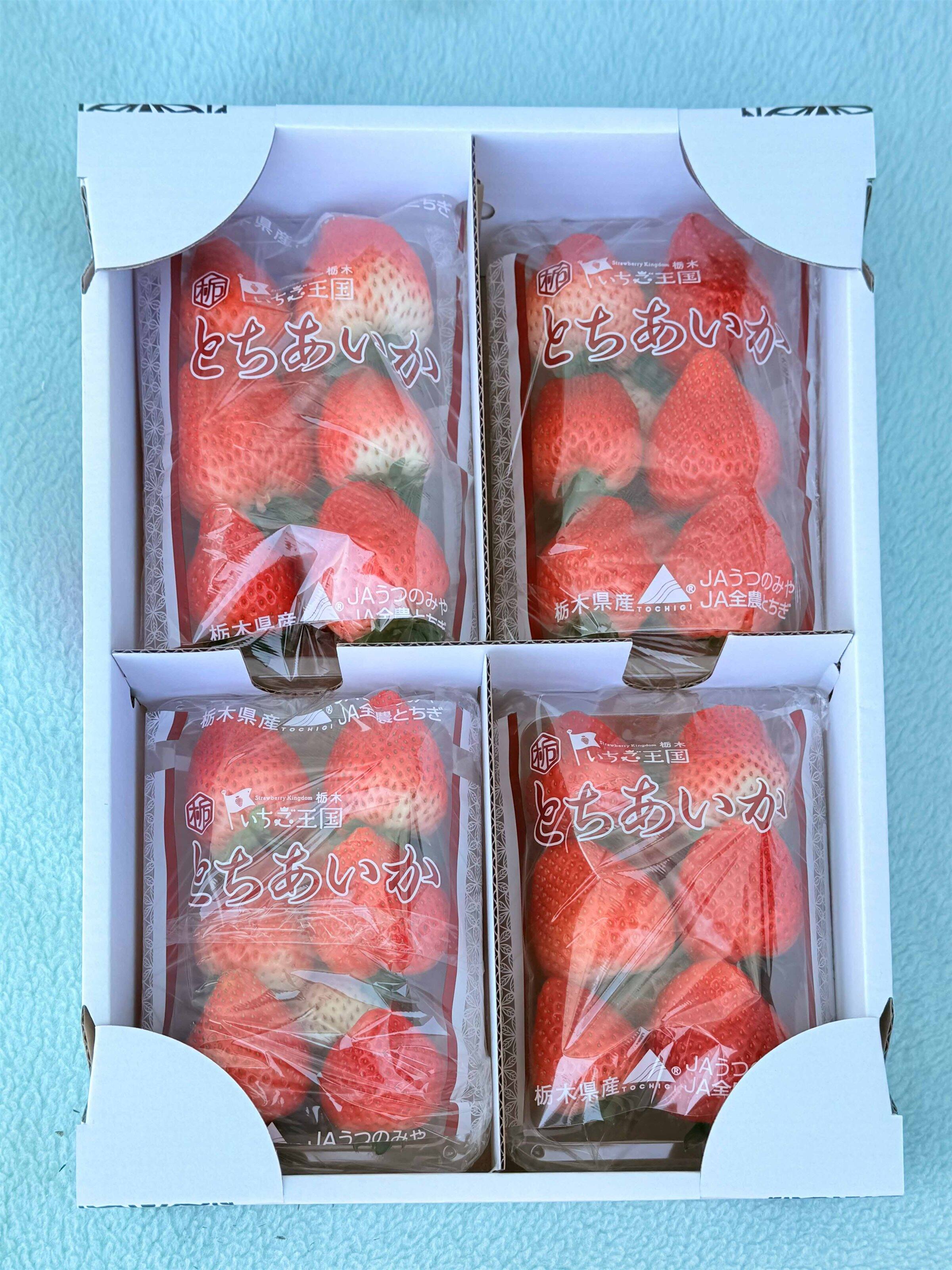 イチゴの生産販売