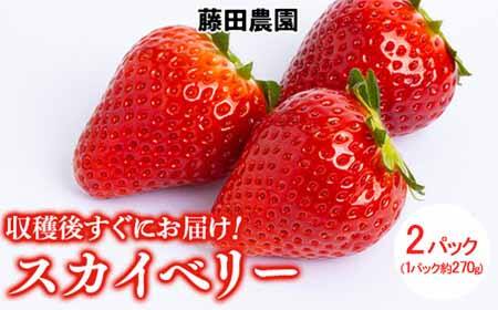 スカイベリーbr2パック