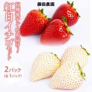 紅白イチゴパックセット