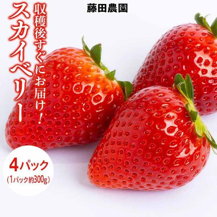 スカイベリーbr4パック