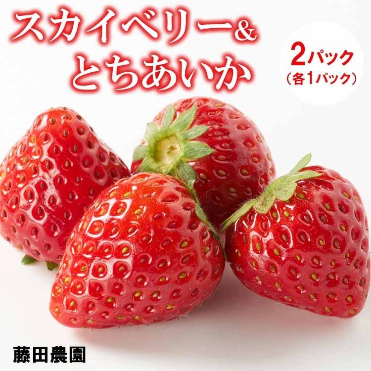 スカイベリー＆とちあいか