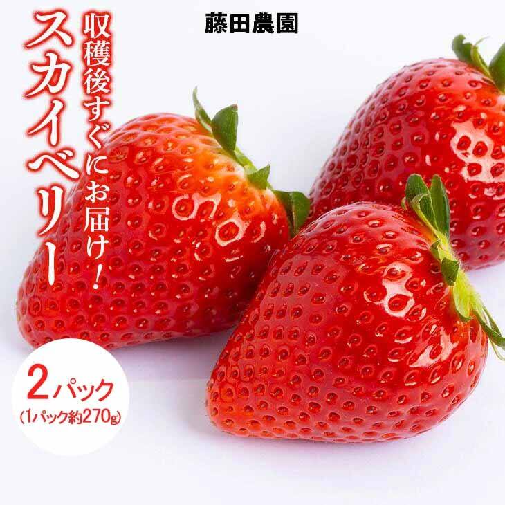 スカイべりーbr2パック