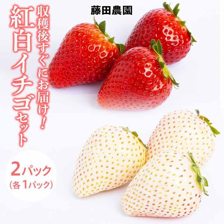 紅白イチゴセット